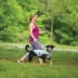 Kurgo® Core Cooling Dog Vest image thumbnail 6
