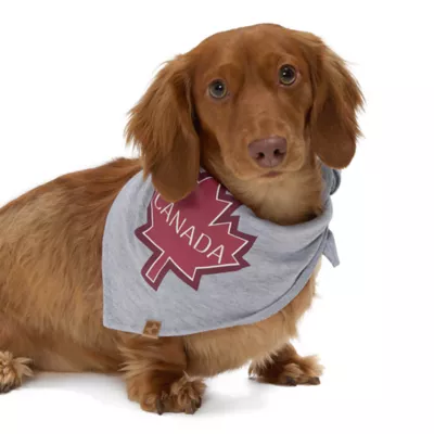 Product HOTEL DOGGY "Canada Day" Maple Leaf Jersey Bandana