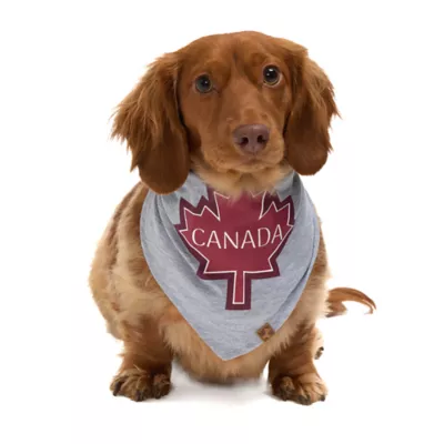 Product HOTEL DOGGY "Canada Day" Maple Leaf Jersey Bandana