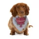 Product HOTEL DOGGY "Canada Day" Maple Leaf Jersey Bandana