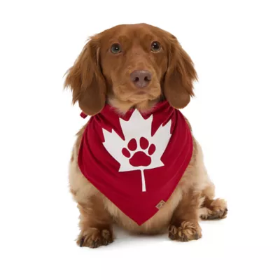 Product HOTEL DOGGY "Canada Day" Maple Leaf & Paw Jersey Bandana