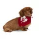 Product HOTEL DOGGY "Canada Day" Maple Leaf & Paw Jersey Bandana