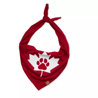Product HOTEL DOGGY "Canada Day" Maple Leaf & Paw Jersey Bandana