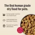 The Honest Kitchen Grain Free Clusters Puppy Dry Dog Food - Chicken image thumbnail 4