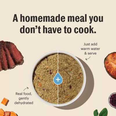 Product The Honest Kitchen Whole Grain Dehydrated Adult Dog Food - Chicken