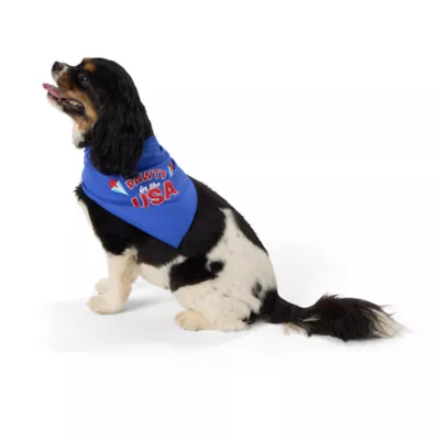 Product Top Paw® Pawty in the USA Dog Bandanas, 2 Count