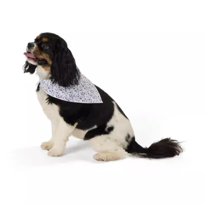 Product Top Paw® Pawty in the USA Dog Bandanas, 2 Count