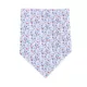 Product Top Paw® Pawty in the USA Dog Bandanas, 2 Count