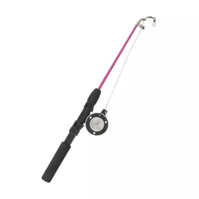 Product Whisker City® Fishing Pole Teaser Cat Toy