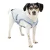 Kurgo® Core Cooling Dog Vest image thumbnail 1