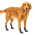 Kurgo® Blaze Dog Socks image thumbnail 1