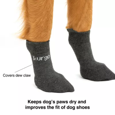 Product Kurgo® Blaze Dog Socks