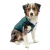 Kurgo® Loft Dog Jacket Ink Blue Sea Glass image thumbnail 1