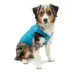 Kurgo® Loft Dog Jacket Coastal Blue Orange image thumbnail 1