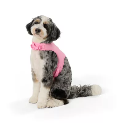 Product Top Paw® DIY Customizable Dog Harness