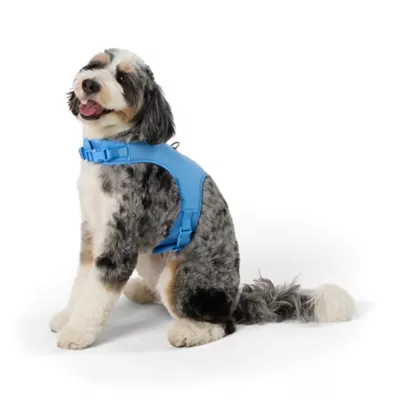 Product Top Paw® DIY Customizable Dog Harness