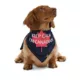 Product HOTEL DOGGY Canada Day "Keep Calm" Jersey Bandana