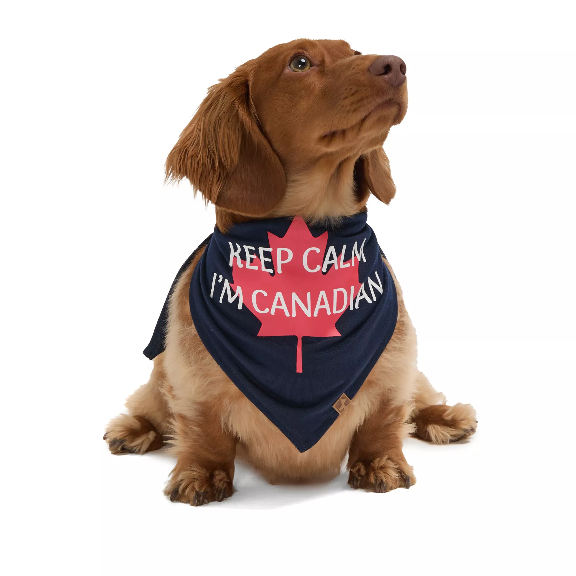HOTEL DOGGY Canada Day "Keep Calm" Jersey Bandana