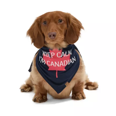Product HOTEL DOGGY Canada Day "Keep Calm" Jersey Bandana