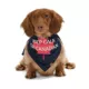 Product HOTEL DOGGY Canada Day "Keep Calm" Jersey Bandana