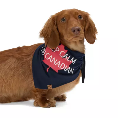 Product HOTEL DOGGY Canada Day "Keep Calm" Jersey Bandana