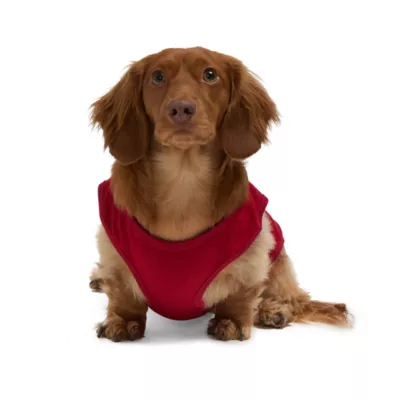 Product HOTEL DOGGY "Canada" Maple leaf & Paw Jersey Tank Top