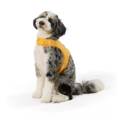 Product Top Paw® DIY Customizable Dog Harness