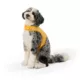 Product Top Paw® DIY Customizable Dog Harness