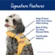 Product Top Paw® DIY Customizable Dog Harness