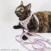 Sassy Meow Hello Kitty® Pink Harness image thumbnail 5