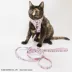 Sassy Meow Hello Kitty® Pink Harness image thumbnail 6