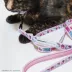 Sassy Meow Hello Kitty® Pink Cat Leash image thumbnail 4