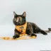Sassy Meow Peanuts Woodstock Step-In Cat Harness image thumbnail 3