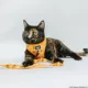Product Sassy Meow Peanuts Woodstock Step-In Cat Harness