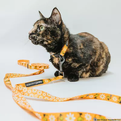 Product Sassy Meow Peanuts Woodstock Cat Leash