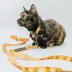 Sassy Meow Peanuts Woodstock Cat Leash image thumbnail 4