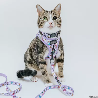 Sassy Meow Disney's Alice in Wonderland Step-In Cat Harness - Image 5