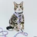 Sassy Meow Disney's Alice in Wonderland Step-In Cat Harness image thumbnail 5