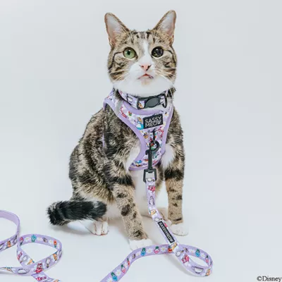 Sassy Meow Disney's Alice in Wonderland Step-In Cat Harness - Image 5