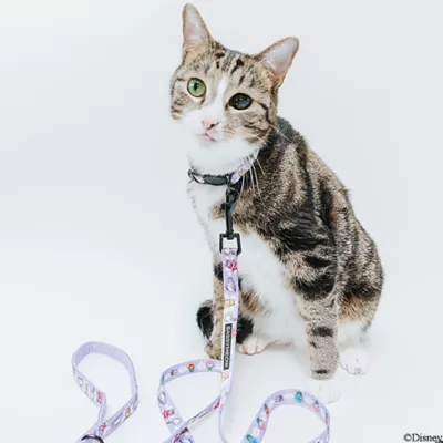 Product Sassy Meow Disney's Alice in Wonderland Cat Leash