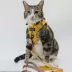 Sassy Meow Disney's Winnie The Pooh Step-In Cat Harness image thumbnail 6