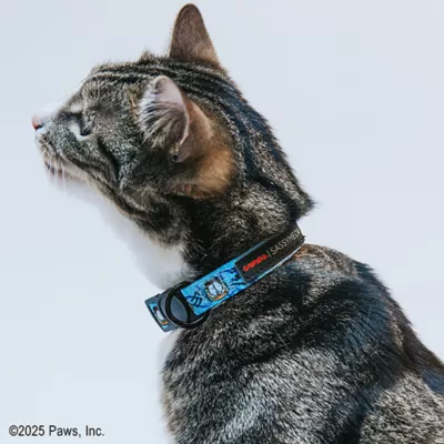 Product Sassy Meow Garfield Cat Collar