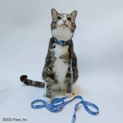 Product Sassy Meow Garfield Cat Leash
