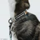 Product Sassy Meow STAR WARS™ Child Cat Collar