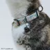 Sassy Meow STAR WARS™ Child Cat Collar image thumbnail 6