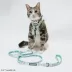 Sassy Meow STAR WARS™ The Child Step-In Cat Harness image thumbnail 6