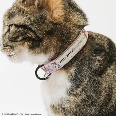 Product Sassy Meow Hello Kitty® Purple Collar