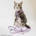 Sassy Meow Hello Kitty® Purple Collar image thumbnail 6