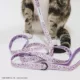Product Sassy Meow Hello Kitty® Cat Leash