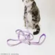 Product Sassy Meow Hello Kitty® Cat Leash